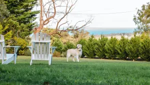 Image of Ocean View House - Solar Heated Pool and Pet Friendly