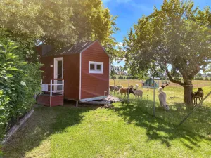 Image of Tiny house on the alpaca farm - Tiny House