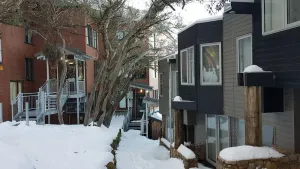 Image of BEEHIVE 18: Mt Buller Village - SKI IN \/ SKI OUT Burke Street Run