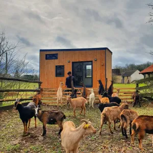 Image of Tiny House Nature in the heart of a goat farm near Montargis - 1h from Paris!