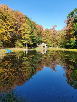 Image of Private off-grid rustic cabin, pet friendly, fishing