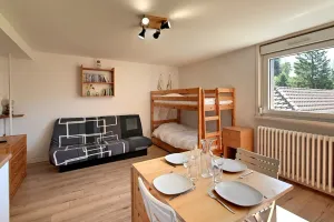 Image of Le Nid des Vosges - Appt vue montagne
