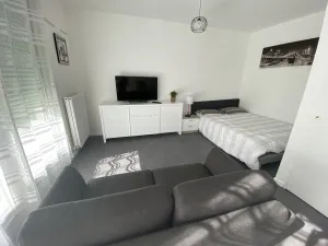 Image of F1 hyper centre avec garage, terrasse 8 m2, lumineux, WIFI