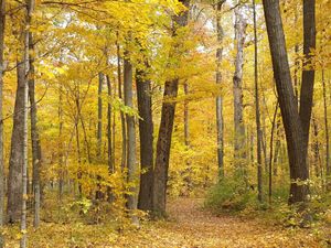 Image of Family and pet friendly house in beautiful Sandy Knoll County Park!