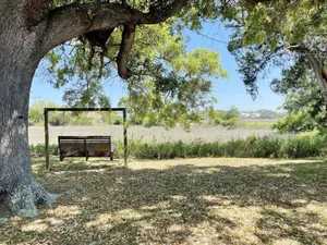 Image of Marsh Magic- 2 Bed 1 Bath Beach House w/Marsh View