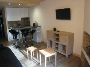Image of Appartement 2 Pièces, Ski au Pied, Balcon Sud, Confort pour 6 - FR-1-459-62