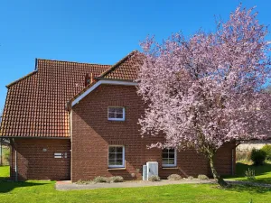 Image of Lovely apartment for 4 guests with WIFI, TV, balcony, pets allowed and parking