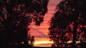 Image of Belubula Cottage Canowindra