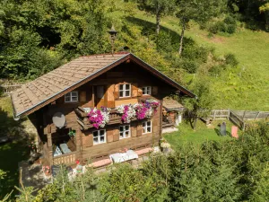 Image of Unique chalet near the Zettersfeld cable car