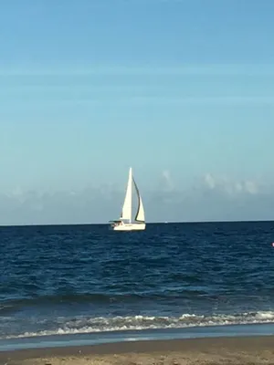 Image of West Palm Beach Paradise