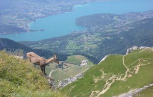 Image of Apartment in the mountains and near Lake Annecy