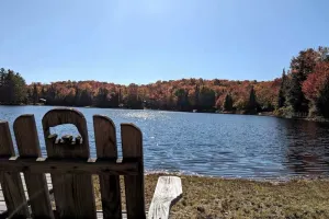 Image of Stoll's Spot