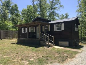 Image of Country Cabin in the Woods