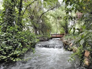 Image of Fern Creek - Murphys Vacation Rentals