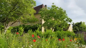 Image of Gite Dordogne, 5 bedrooms, 5 bathrooms for 9 people. Charm and space.