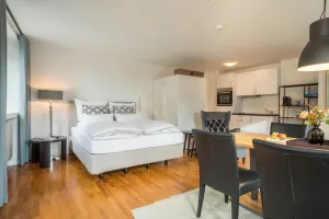 Image of Modern One-Room Apartment No. 12 in the City Center with Wi-Fi