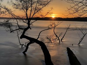 Image of Hiking and swimming: Cozy apartment in Joachimsthal