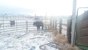 Image of Neat little apartments!