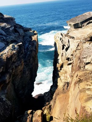 Image of Beautiful Beach-side cottage with lap pool in North Maroubra close to Coogee