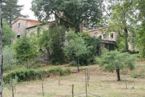 Image of Mas Ferrieres Saint Laurent