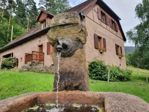 Image of Old freestone farm built in 1880 in the middle of Alsace and nature