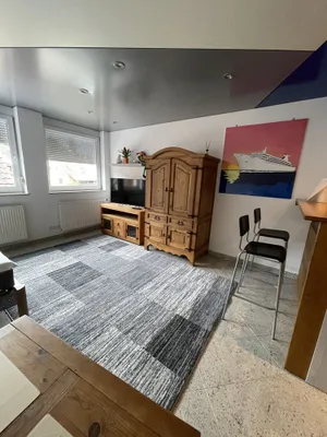 Image of 1 room apartment with kitchen and bathroom