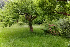 Image of Das Ferienhaus mit Viel Platz - am Fuß des Thüringer Waldes