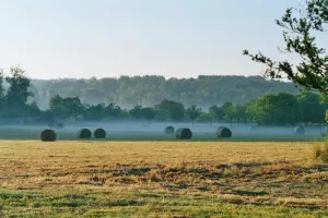 Image of Charmante Fermette Périgourdine Calme et Nature