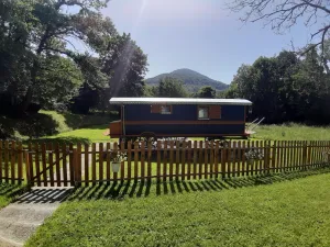 Image of Gypsy Caravan The Great Bear