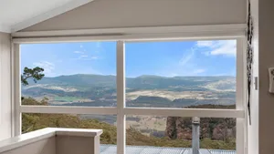 Image of Currawong