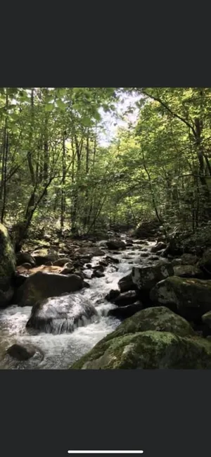 Image of Bunkhouse at English Mountain-Unlimited creek access-Farm Views