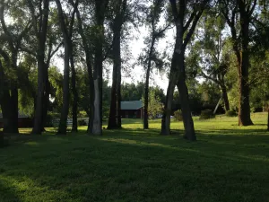Image of Cottage In The Woods