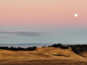 Image of Still Windy Couple's Getaway