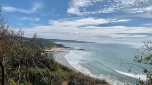 Image of The Panorama