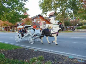 Image of Frankenmuth Getaway, April special. Rent at least 2 nights & get a night free