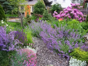 Image of OUR MOST POPULAR COTTAGE IN CAMDEN!