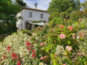Image of Quiet house, swimming pool, 5 bedrooms, 4km from the center of AIX EN PROVENCE (13)