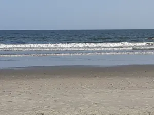 Image of Borders Coastal Carolina University  25 min from  beach.  Quiet neighborhood.