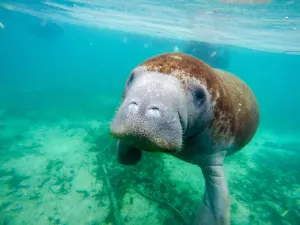 Image of Large Waterfront canal home W Kayaks and covered boathouse