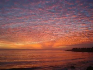 Image of Sweet 1 BDRM Cottage, FAST WIFI, near ocean, W&D, Full kitchen and bath, BBQ!
