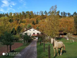 Image of family and spacious cottage in the middle of the forest ideal hikes in the country of bitche