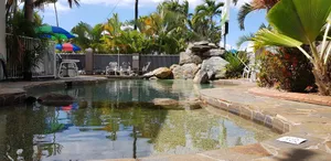 Image of Reef Palms