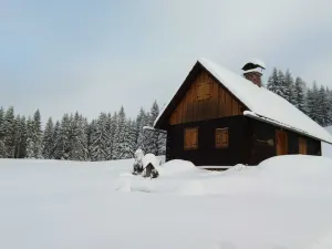 Image of Alpine hut - Alpine hut in Spital am Pyhrn