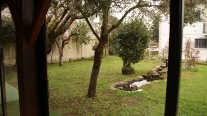 Image of Apartment in house close to all amenities