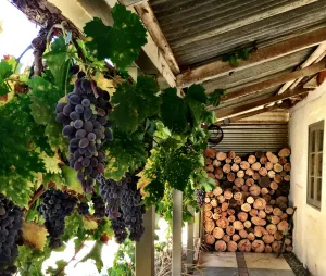 Image of The Barn - a little bit rustic, a little bit luxe