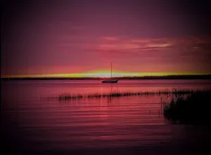 Image of (Birch Cabin) Waterfront 2 Bed 1 Bath Cottage - Pets OK