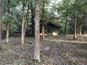 Image of House in the Trees