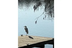 Image of Kingwood Cottage - 10 mins from IAH - Lake Front
