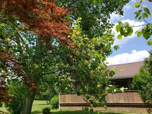 Image of Conveniently located 2 bedroom home only minutes from hiking and state park fun!