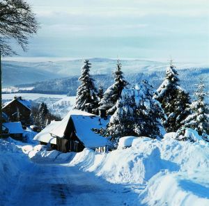 Image of Modern and cozy vacation home completely renovated in 2023